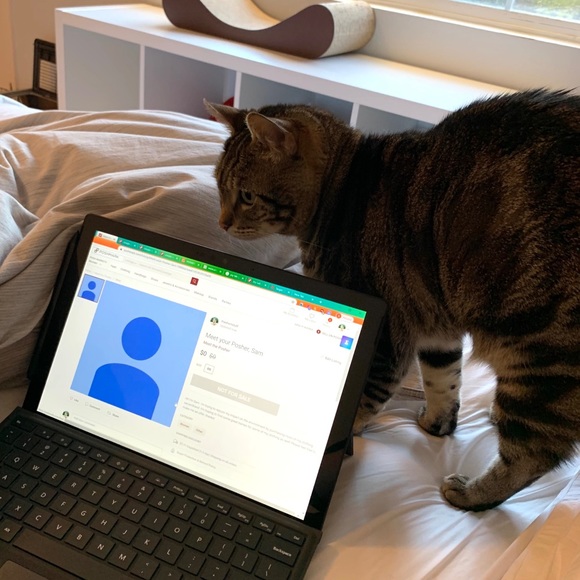 Meet your Posher, Sam - Picture 2 of 2